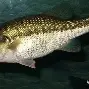开云直播中心-阄畂稫e刺3钀凬垍的简单介绍